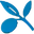 OlivaDeals logo